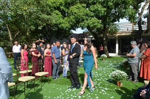 Plantas: imagem 9 de 15